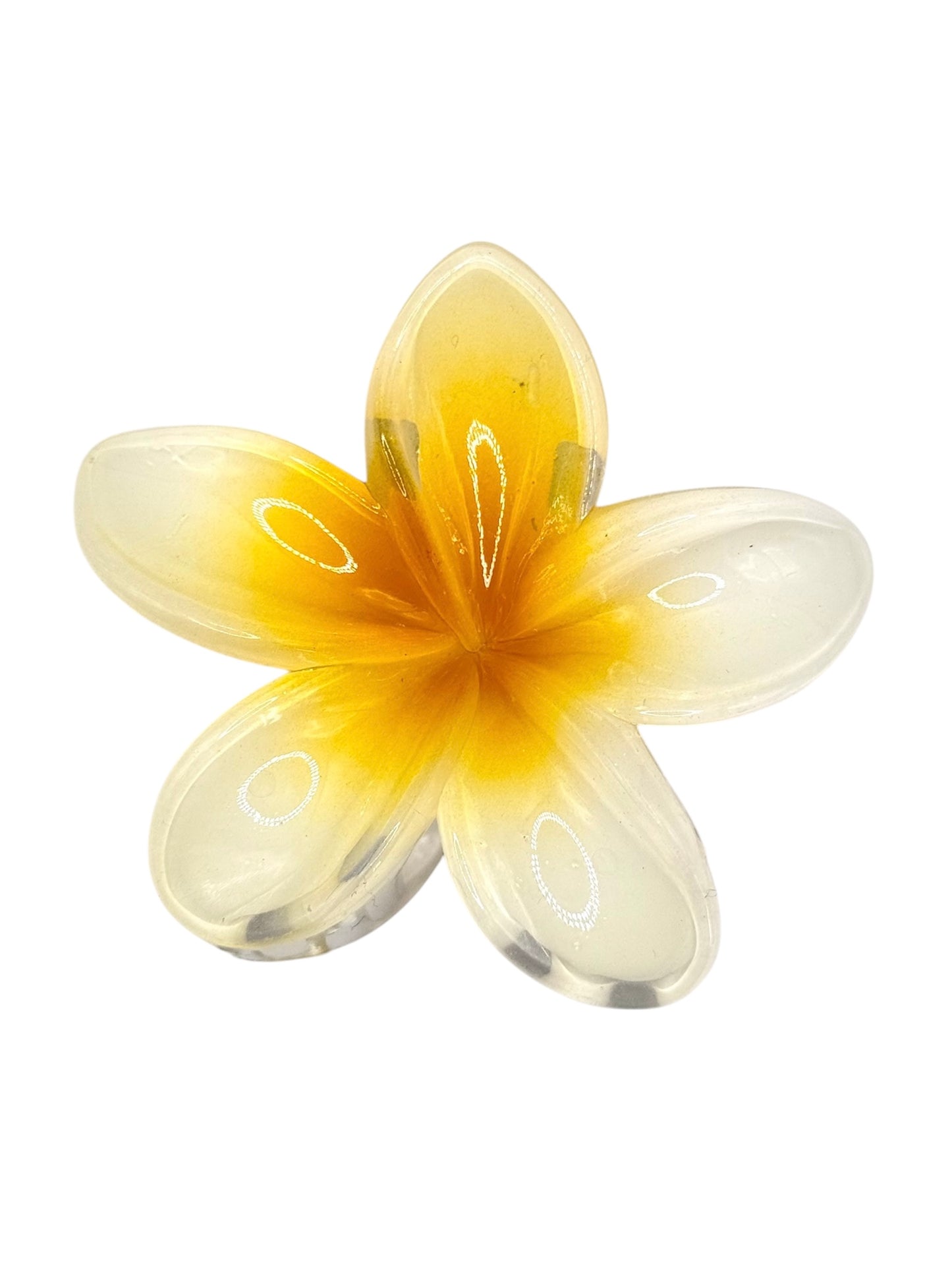 Pince à fleur Zanzibar