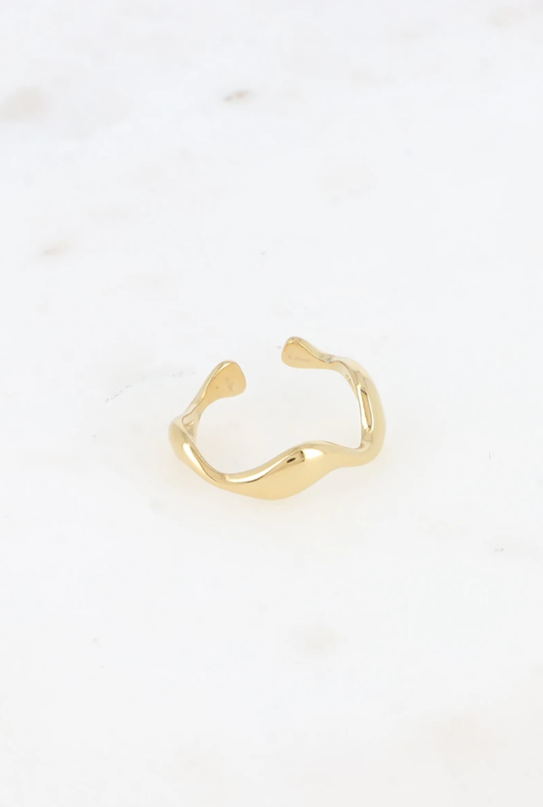 Bague Népal