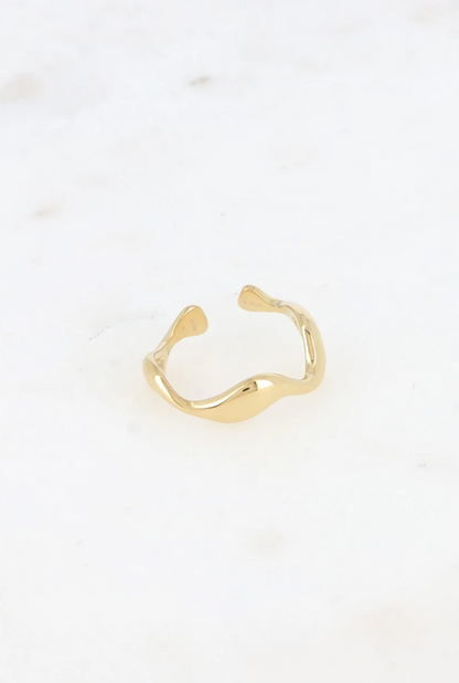 Bague Népal