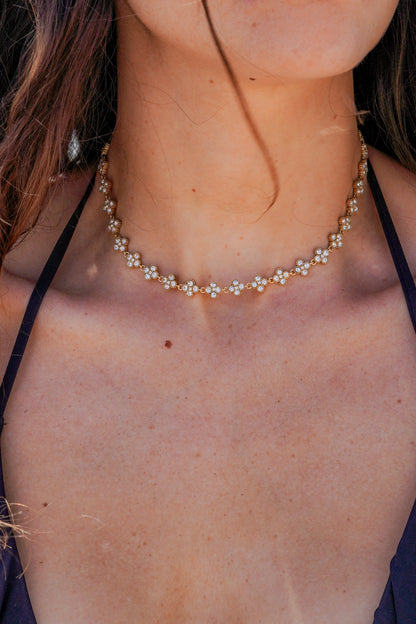 Collier Reine