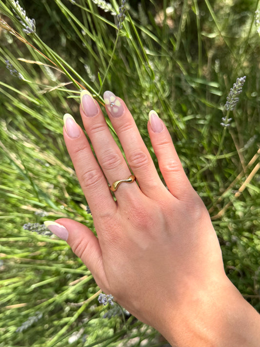 Bague Népal