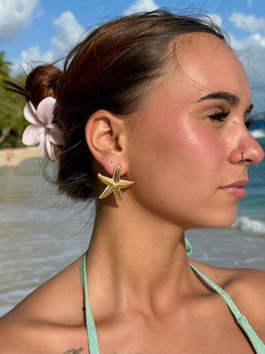 Boucles d'oreilles Arielle
