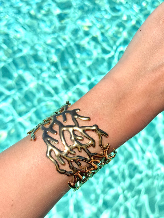 Jonc Corail