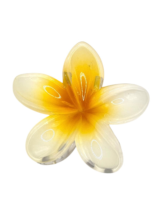 Pince à fleur Zanzibar