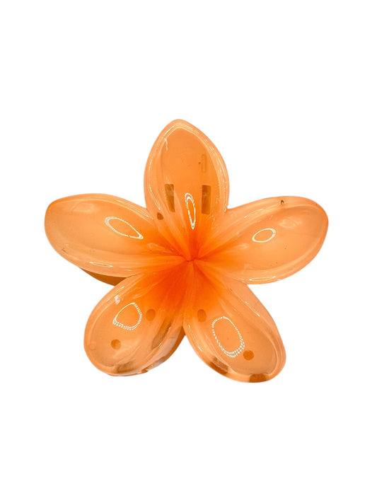 Pince à fleur Hawaï