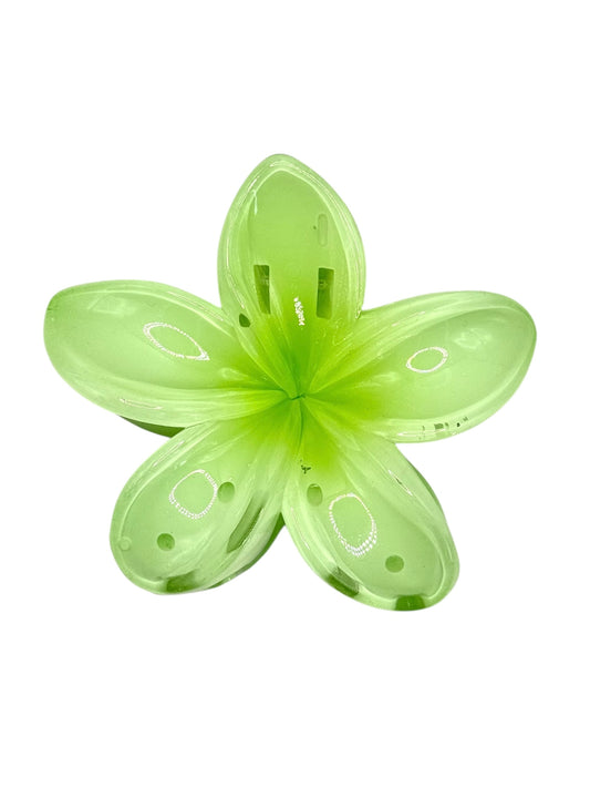 Pince à fleur Rio